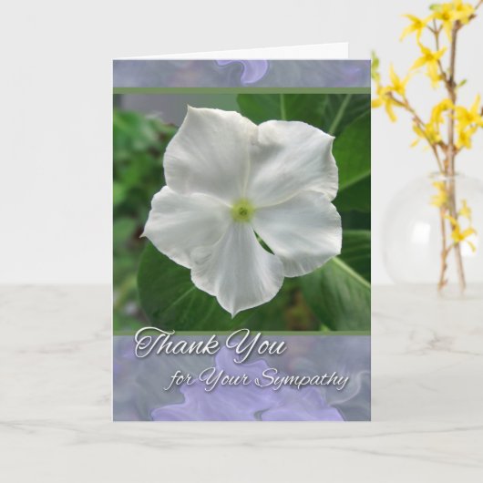 Dank u voor Sympathie White Vinca Vine Bloom Kaart (Gele Bloem)