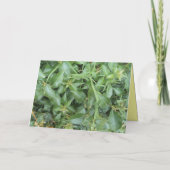 DANK U VRIEND BEDANKKAART (Achterkant)