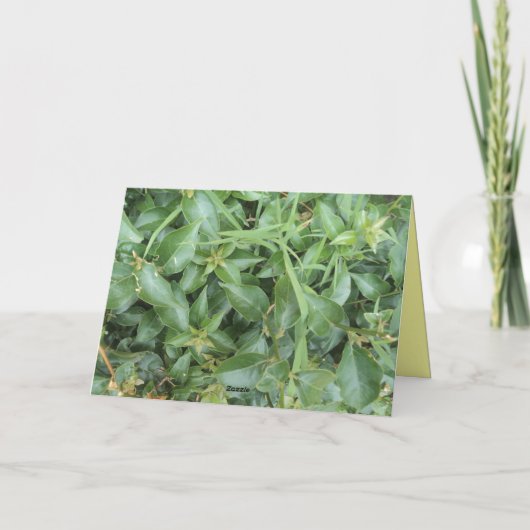 DANK U VRIEND BEDANKKAART (Achterkant)