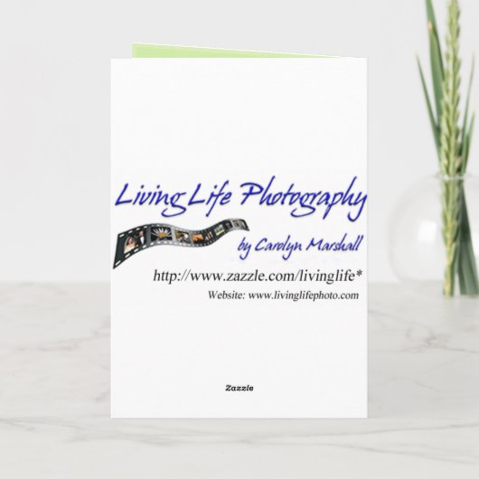 Dank u Waterval Kaart (Achterkant)