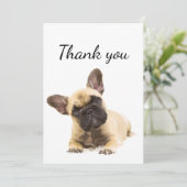 Dank u wel Cute Pug Dog Animal Fun Bedankkaart (Staand voorkant)