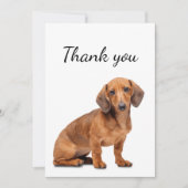 Dank u wel Dachshund Dog Pet Animal Bedankkaart (Voorkant)
