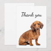 Dank u wel Dachshund Dog Pet Animal Bedankkaart (Voorkant / Achterkant)