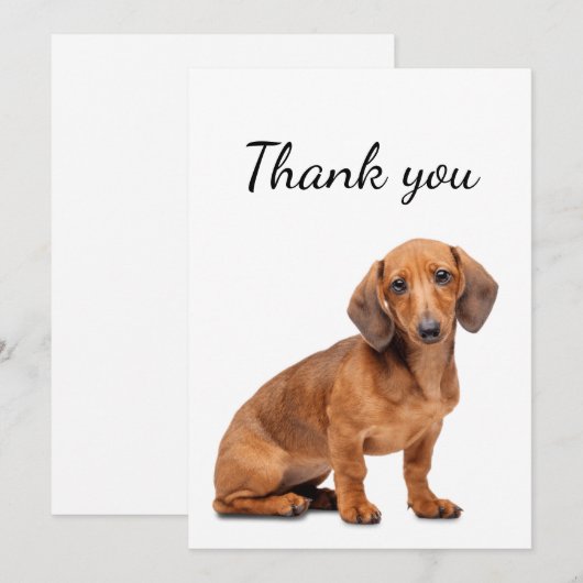 Dank u wel Dachshund Dog Pet Animal Bedankkaart (Voorkant / Achterkant)