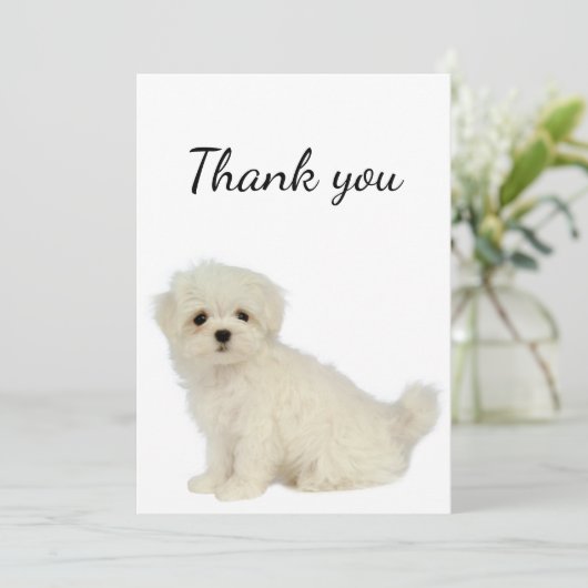 Dank u wel Maltese hond Pet Animal Bedankkaart (Staand voorkant)