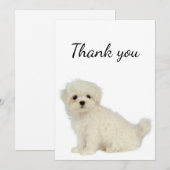 Dank u wel Maltese hond Pet Animal Bedankkaart (Voorkant / Achterkant)