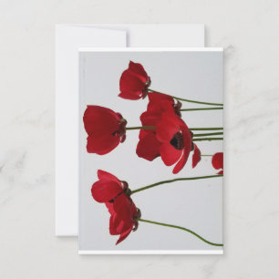 Dank u wel met rode papaver bedankkaart