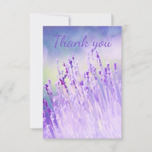 Dank u wel, prachtig gebied van lavenderbloemen bedankkaart (Voorkant)