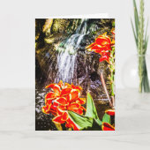 Dank u wenskaart bedankkaart (Voorkant)