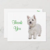 Dank u White Westie Puppy Dog Groeten Briefkaart (Voorkant / Achterkant)