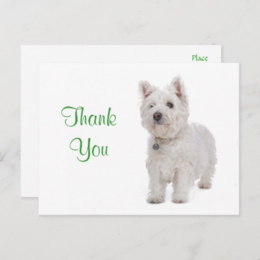Dank u White Westie Puppy Dog Groeten Briefkaart (Voorkant / Achterkant)