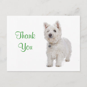 Dank u White Westie Puppy Dog Groeten Briefkaart