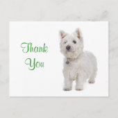 Dank u White Westie Puppy Dog Groeten Briefkaart (Voorkant)