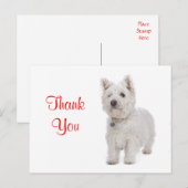 Dank u White Westie Puppy Dog Groeten Briefkaart (Voorkant / Achterkant)