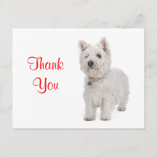 Dank u White Westie Puppy Dog Groeten Briefkaart