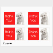 Dank u Witte Maltese Puppy Dog Sticker / Label (Vel)
