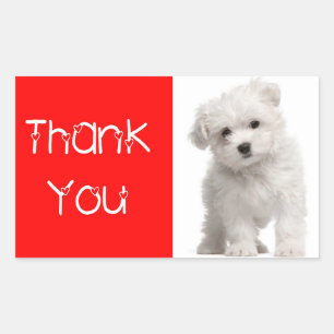 Dank u Witte Maltese Puppy Dog Sticker / Label