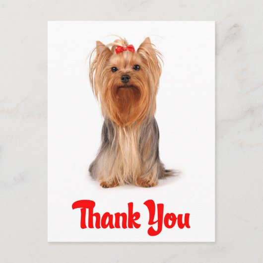 Dank u Yorkshire Terrier Puppy Dog Briefkaart (Voorkant)