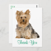 Dank u Yorkshire Terrier Puppy Dog Briefkaart (Voorkant / Achterkant)