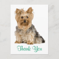 Dank u Yorkshire Terrier Puppy Dog Briefkaart