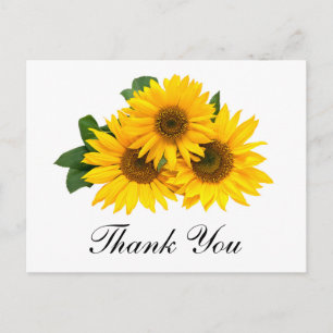 Dank u Zonnebloem Bloemen Greeting Post Kaart