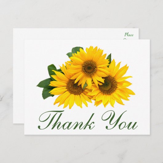 Dank u Zonnebloem Bloemen Greeting Post Kaart (Voorkant / Achterkant)
