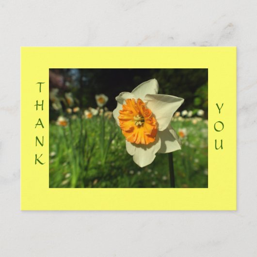 Dank u - zonnebloem kaart (Voorkant)