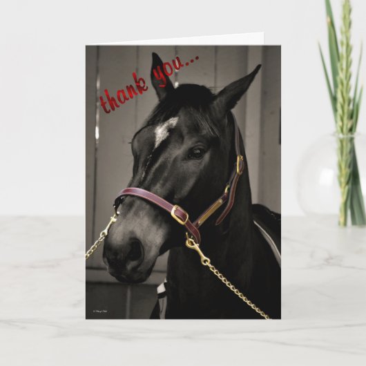 Dank U zorgzame waardering paard bedankt (Voorkant)