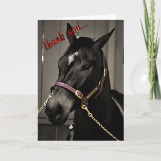 Dank U zorgzame waardering paard bedankt