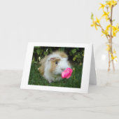 DANKBAAR GERBIL BLIJ DAT HET "JOUW" VERJAARDAG IS, KAART (Gele Bloem)