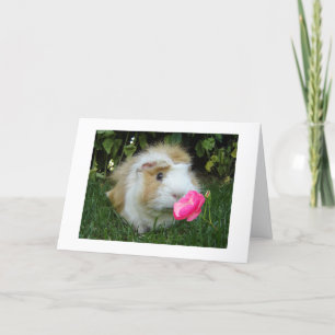 DANKBAAR GERBIL BLIJ DAT HET "JOUW" VERJAARDAG IS, KAART