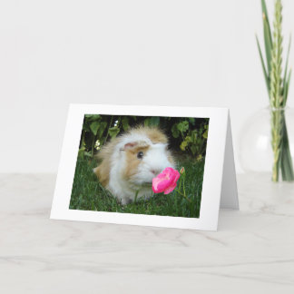 DANKBAAR GERBIL BLIJ DAT HET "JOUW" VERJAARDAG IS, KAART