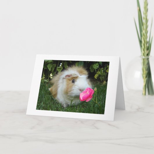 DANKBAAR GERBIL BLIJ DAT HET "JOUW" VERJAARDAG IS, KAART (Voorkant)