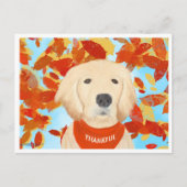 Dankbaar - Valt in mijn leven ansichtkaart Briefkaart (Voorkant)