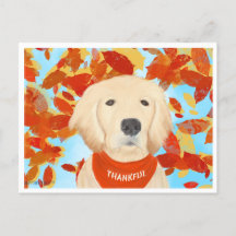 Dankbaar - valt in mijn leven Briefkaart