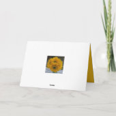 Dankbaar voor u Zonnebloem Waardering Dank u Kaart (Achterkant)