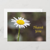 Dankbaarheid Blooms: Een Wilde Daisy Dank je Briefkaart (Voorkant / Achterkant)