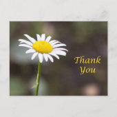 Dankbaarheid Blooms: Een Wilde Daisy Dank je Briefkaart (Voorkant)