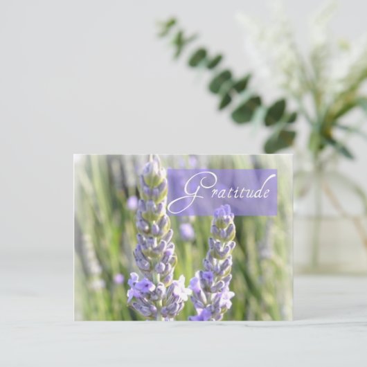 Dankbaarheid Lavendel Bloemen Post Kaart (Staand voorkant)