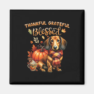 Dankbare Dankbare Gezegende Teckel Hond Herfst Y'a Magneet