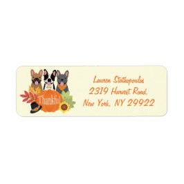 Dankbare Franse Bulldogs Thanksgiving Etiket