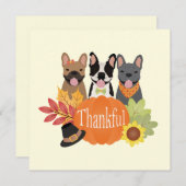 Dankbare Franse Bulldogs Thanksgiving Feestdagenkaart (Voorkant / Achterkant)