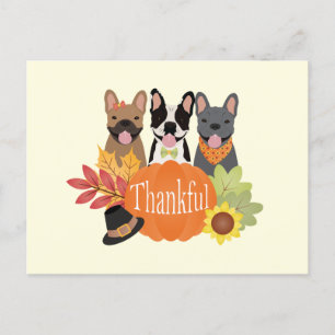 Dankbare Franse Bulldogs Thanksgiving Feestdagenkaart