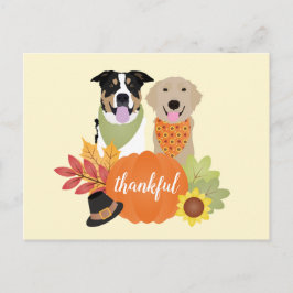 Dankbare Honden Thanksgiving Oogst Pompoenen Briefkaart