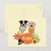 Dankbare honden Thanksgiving oogstpompoenen Briefkaart (Voorkant / Achterkant)