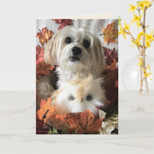 Dankbare Morkie II - Blanco kaart (Gele Bloem)