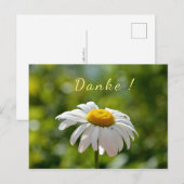 Danke mit einer Margerite Briefkaart (Voorkant / Achterkant)