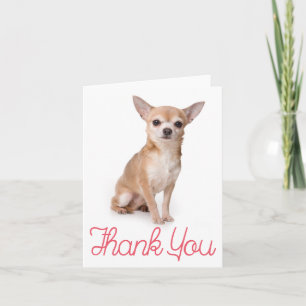 Dankjewel Chihuahua Puppie Hond Blank Notitiekaart