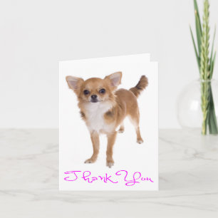 Dankjewel Chihuahua Puppie Hond Blanke Notitiekaar Bedankkaart