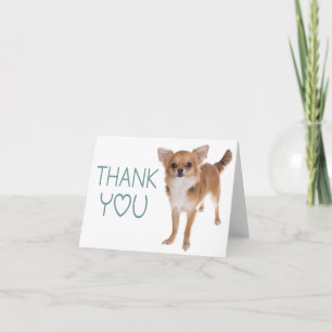 Dankjewel Chihuahua Puppie Hond Blanke Wenskaart Bedankkaart